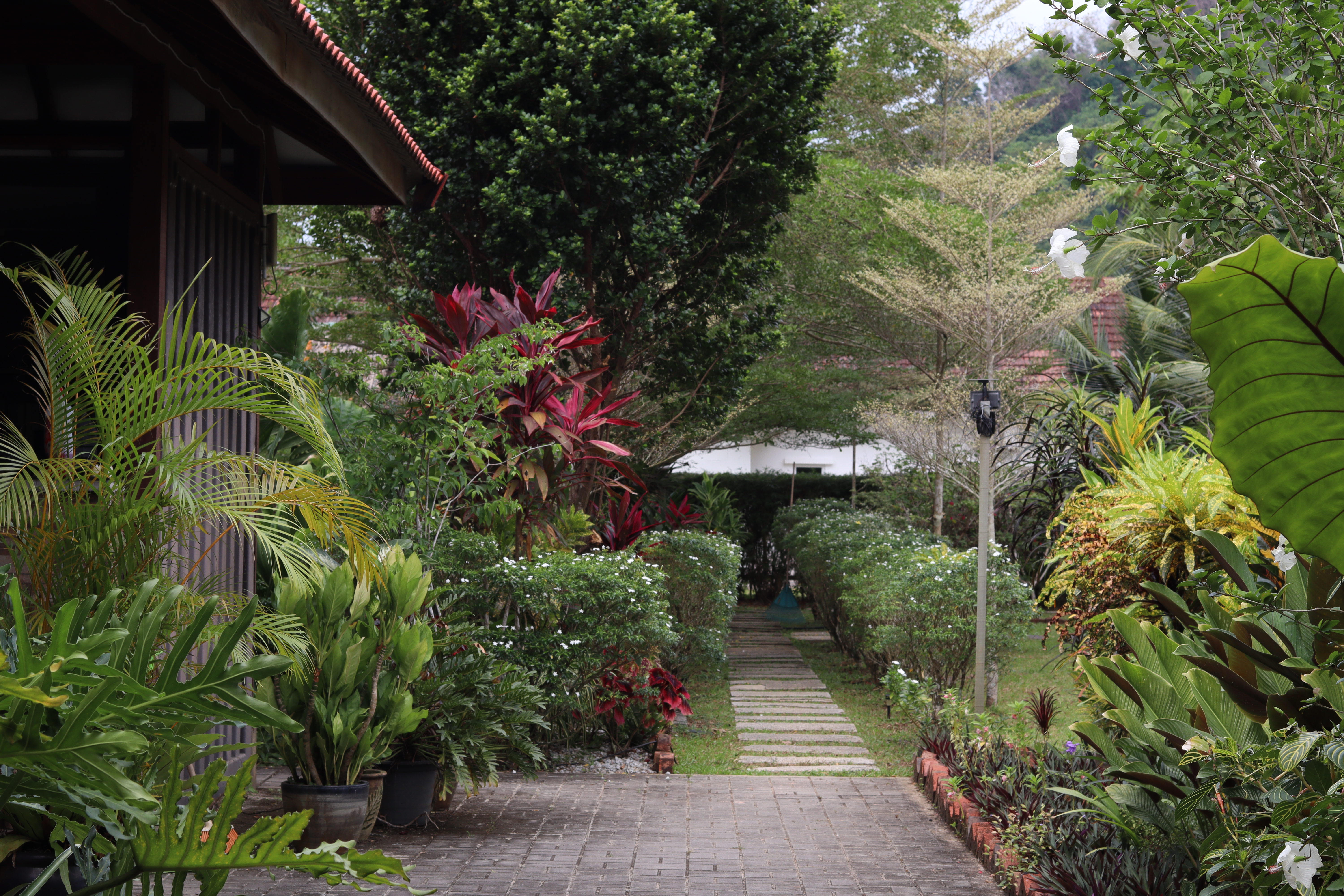 Courtyard view at Bambu
