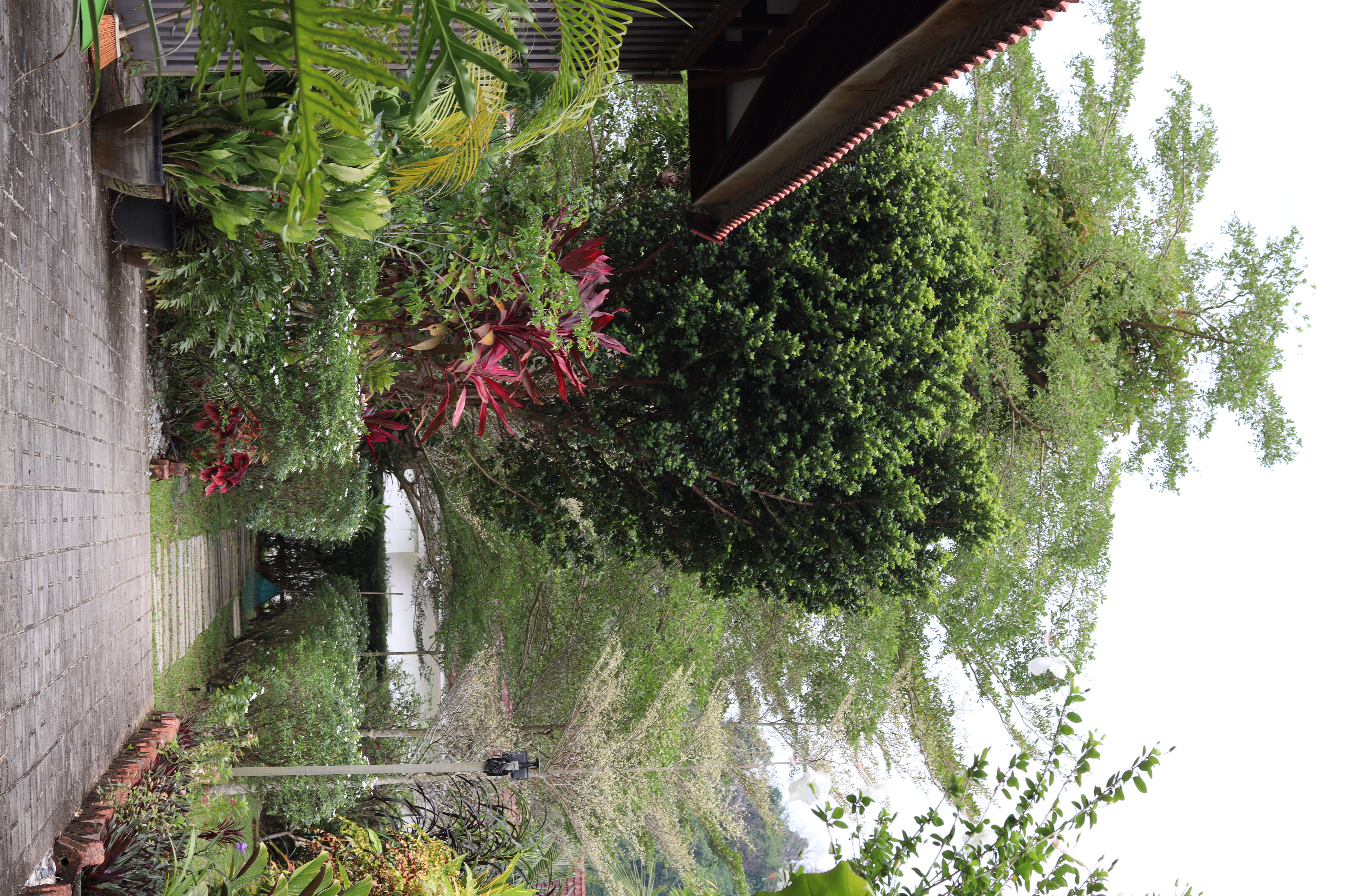 Garden cabin courtyard