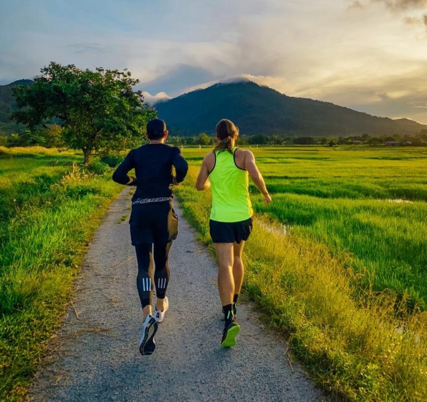 Running route near rice paddies and coast in Langkawi’s Gunung Raya valley