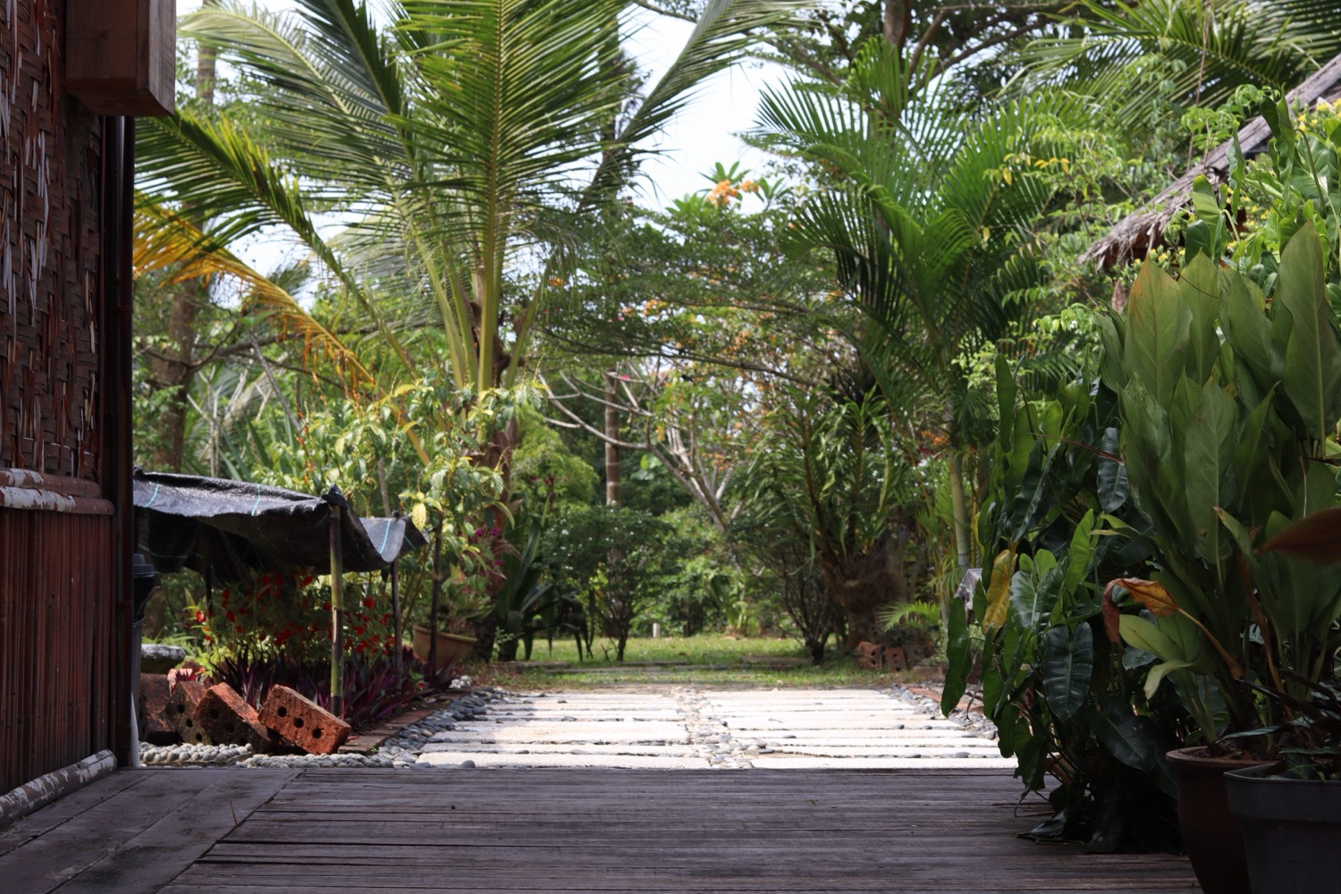 Driveway and parking area at Bambu Getaway, Langkawi—typical sealed roads on the island