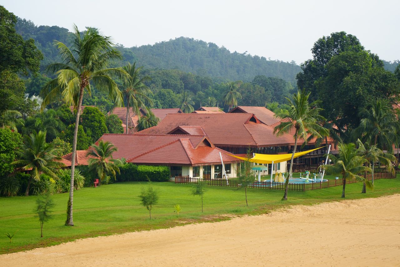 Beachfront resort with palm trees and forested hills behind, Langkawi