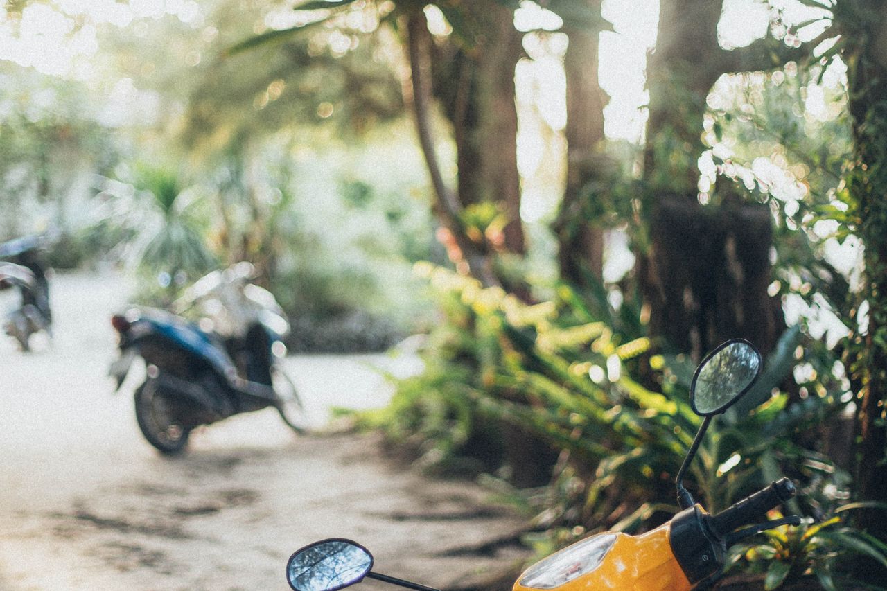 A scooter parked on a sunlit tropical road, evocative of cheap transport in Langkawi